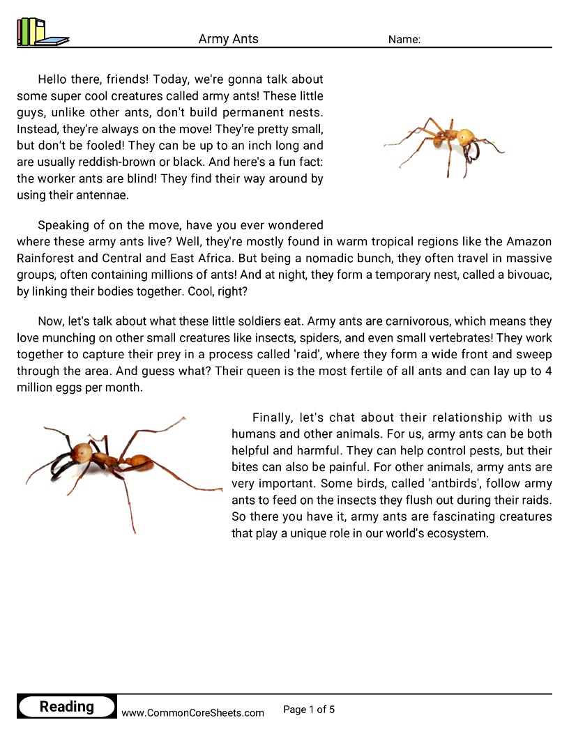 Reading Comprehension Insects Worksheets