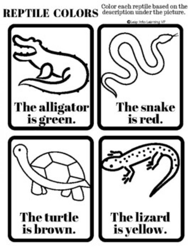 Reptile Themed Learning Packet Leap Into Learning Reptile Themed Learning Packet Leap Into Learning