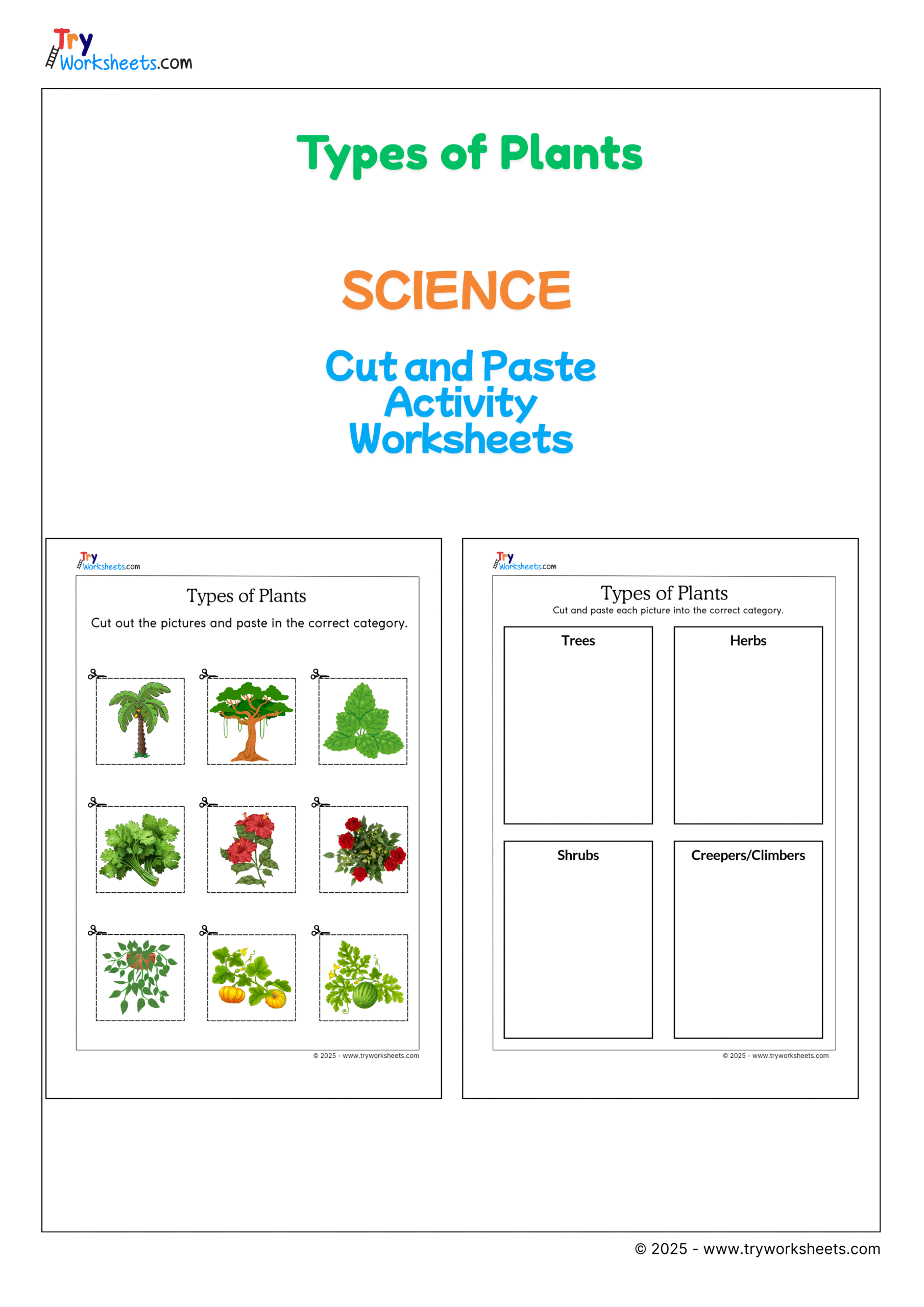 Science Types Of Plants Cut And Paste Worksheet Fun Activity For Kids Try Worksheets