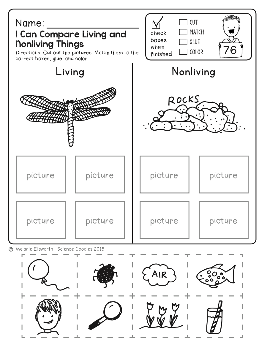 Cut And Paste Five Senses Worksheet Free Printable Digital PDF