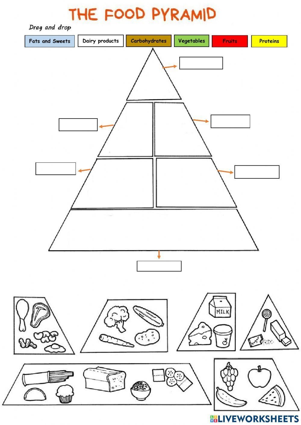 The Food Pyramid Online Activity Worksheets Library