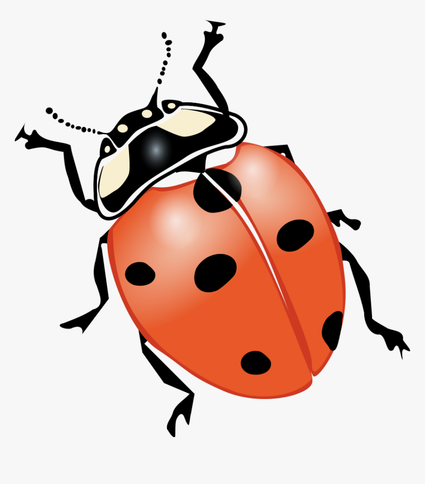 Transparent Lightning Bugs Clipart Bugs And Insects Printables HD Png Download Kindpng
