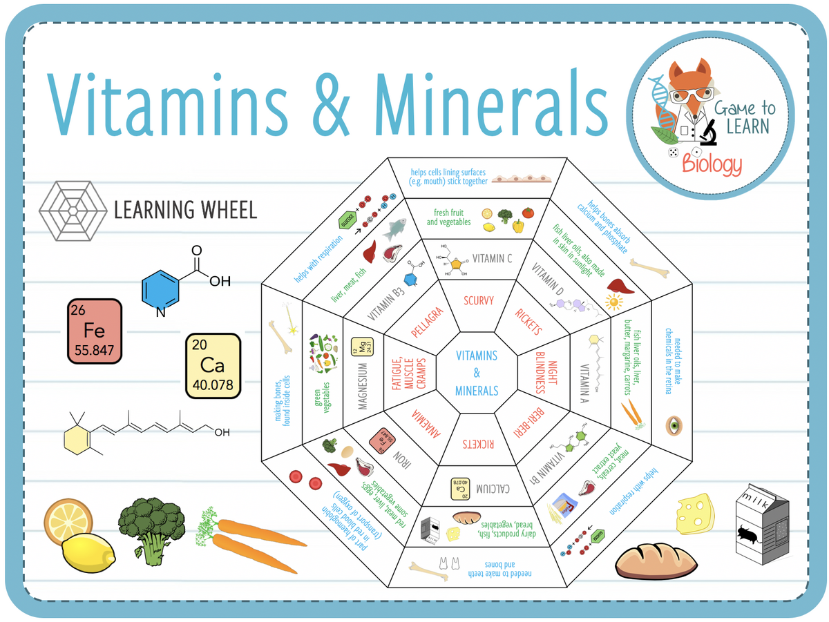 Vitamins And Minerals Learning Wheel KS3 4 Worksheets Library