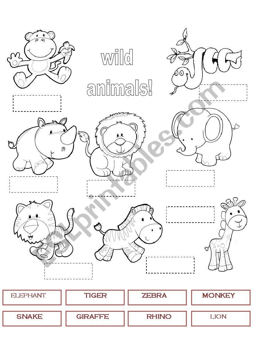 Wild Animals Number And Colour ESL Worksheet By Edurne Tudela